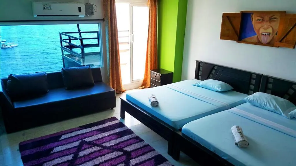 宾馆 Hostel Sheylla'S Place Pathway San Andrés